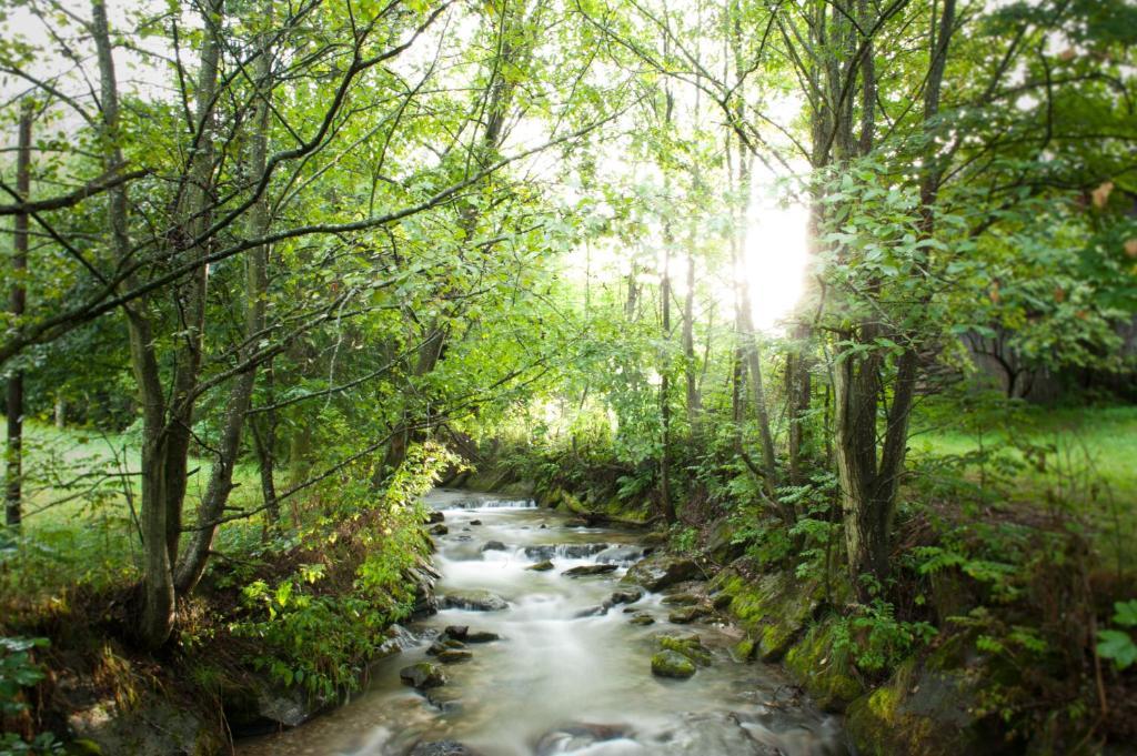 Naturhotel Ortners Eschenhof Bad Kleinkirchheim